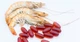 Омега-3 жиры в масле криля в гель-капсулах Nature Made Krill Oil 300 mg, 60 капсул - изображение 2