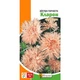 Семена Астра игольчатая Кларен (726780) - изображение 3