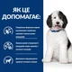 Сухой корм Hill's Prescription Diet c/d Multicare Urinary Care для собак с курицей 12 кг - изображение 5