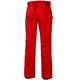 Лыжные и сноубордические брюки Rehall Jenny W 2020 cherry red S 50920 - изображение 1