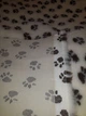 Килимок Jackson Textiles Small Paws white 160х100 см (JT-001-1) - зображення 4