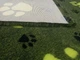 Коврик для собак Vetbed Big Paws green 160х300 см (VB-015-3) - изображение 5