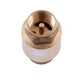 Клапан обратного хода воды Q PROFESSIONAL 3/4″ QP100 - изображение 2