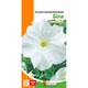 Петуния крупноцветковая Белая Florium (725044) - изображение 2