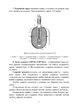 Настанова зі стрілецької справи. Ручні гранати - зображення 6