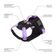 Шлея для собак безопасная WAUDOG Nylon c QR паспортом, металлическая пряжка-фастекс, S, Ш 20 мм, А 35-60 см, В 55-65 см, фиолетовый - изображение 5