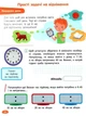 STEM-навчання. Задачі. 2 клас - Пуляєва Альона Олегівна (9786177995035) - изображение 2