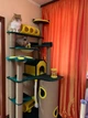 Высокий эксклюзивный игровой кошачий комплекс для котов и кошек всех пород когтеточка с домиком лежанками 200х115х85см зелено желтый - изображение 8
