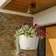 Умный вазон Lechuza Nido Cottage Белый (15190) - изображение 6