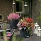 Умный вазон Lechuza Nido Cottage Антрацит (15193) - изображение 6