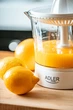 Соковыжималка для цитрусовых Adler AD-4009 60 Вт - изображение 2