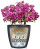 Вазон Lechuza CLASSICO Color 43 Песочно-коричневый (13245) - изображение 4
