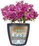 Вазон Lechuza CLASSICO Color 60 Песочно-коричневый (13333) - изображение 4