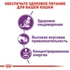 Сухой корм Royal Canin SENSIBLE для взрослых кошек с чувствительным пищеварением 400 г (3182550702263) - изображение 5