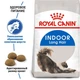 Сухий корм Royal Canin INDOOR LONGHAIR для дорослих довгошерстих кішок які мешкають у приміщенні 2 кг (3182550739382) - зображення 2
