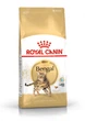 Сухий корм Royal Canin BENGAL ADULT для дорослих кішок Бенгальської породи 2 кг (3182550864091) - зображення 1