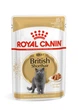 Вологий корм Royal Canin BRITISH SHORTHAIR ADULT для дорослих кішок Британської породи 85 г (9003579001257) - зображення 1