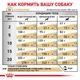 Сухой корм Royal Canin URINARY S/O DOG для взрослых собак, способствующий растворению струвитных камней и предотвращению их повторного образования 2 кг (3182550711036) - изображение 3