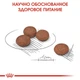 Сухой корм Royal Canin MINI DIGESTIVE CARE для взрослых собак Мелких пород с чувствительным пищеварением 3 кг (3182550894012) - изображение 3