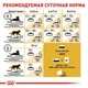 Сухой корм Royal Canin MAINECOON ADULT для взрослых кошек породы Мейн Кун 10 кг (3182550710664) - изображение 3