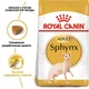 Сухий корм для кішок породи Сфінкс Royal Canin SPHYNX ADULT 4 кг - зображення 2