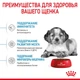 Сухой корм Royal Canin MEDIUM PUPPY для щенков Средних пород 4 кг (3182550708180) - изображение 2