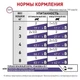 Вологий корм Royal Canin NEUTERED BALANCE CAT (Кусочки в соусе) для дорослих стерилізованих кішок 85 г (9003579015643) - зображення 4