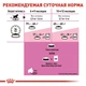Сухой корм Royal Canin KITTEN STERILISED для стерилизованных котят 4 кг - изображение 3