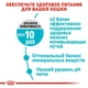 Сухой корм Royal Canin URINARY CARE для взрослых кошек, поддержание здоровья мочевыделительной системы 4 кг (3182550842952) - изображение 4