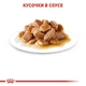 Влажный корм Royal Canin MINI ADULT для взрослых собак Мелких пород 85 г (9003579008256) - изображение 2