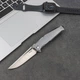Нож складной Ruike P108-SF (A-015624) - изображение 13