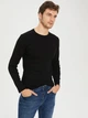 Мужской лонгслив LC Waikiki XXL Черный (LCWKnitwear-7288) - изображение 1