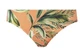 Купальник роздільний Freya Birds In Paradise 6861-6864 балконет із м’якою ущільненою підкладкою 80H/XL Cantaloupe (ZIK0000023571) - зображення 4