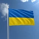 Флаг Украины 90х135 см - изображение 1