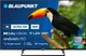 Телевізор Blaupunkt 43UB7000 - изображение 1