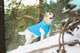 Двусторонняя курточка Collar AiryVest для собак "Colors of freedom" размер L 65 (4450-4020Collar) - изображение 8
