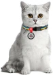 Ошейник для котов нейлоновый Collar WAUCAT c QR паспортом Colors of freedom пластиковый фастекс XS 20 - 30 см (5210-4020Collar) - изображение 4