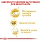 Сухой корм для котов Royal Canin Maine Coon Adult, 400 гр - изображение 6