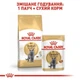 Сухой корм для котов Royal Canin British Shorthair Adult 2 кг + 400 г - изображение 8
