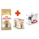 Сухой корм для котов Royal Canin British Shorthair Adult 2 кг + 400 г - изображение 10