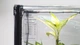 Мини-теплица с фито светом для дома Metaplant Sezam L - изображение 3
