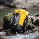 Гермомешок TB03 Naturehike NH21FSB04 20 л lemon yellow - изображение 4