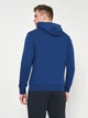 Худи мужское Tommy Hilfiger 10949.4 S Электрик - изображение 2