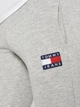 Спортивные штаны мужские Tommy Hilfiger 10963.2 2XL Серые - изображение 4