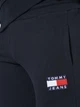 Спортивные штаны мужские Tommy Hilfiger 10963.3 L Темно-синие - изображение 4