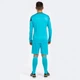 Комплект вратарской формы Joma PHOENIX GK бирюзово-темно-синий M 102858.013 - изображение 4