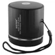 Портативна багатофункціональна колонка Bluetooth WS-231BT - зображення 1