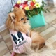 Толстовка для собак мелких пород Dog Baby Chocolate 2XL Pink - изображение 1