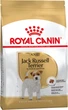 Сухой корм Royal Canin Jack Russell Terrier для собак породы Джек-рассел-терьер 7.5 кг (арт 21000759) - изображение 1