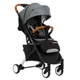 Детская коляска Bene Baby D200 Прогулочная серая на чёрной раме - изображение 1